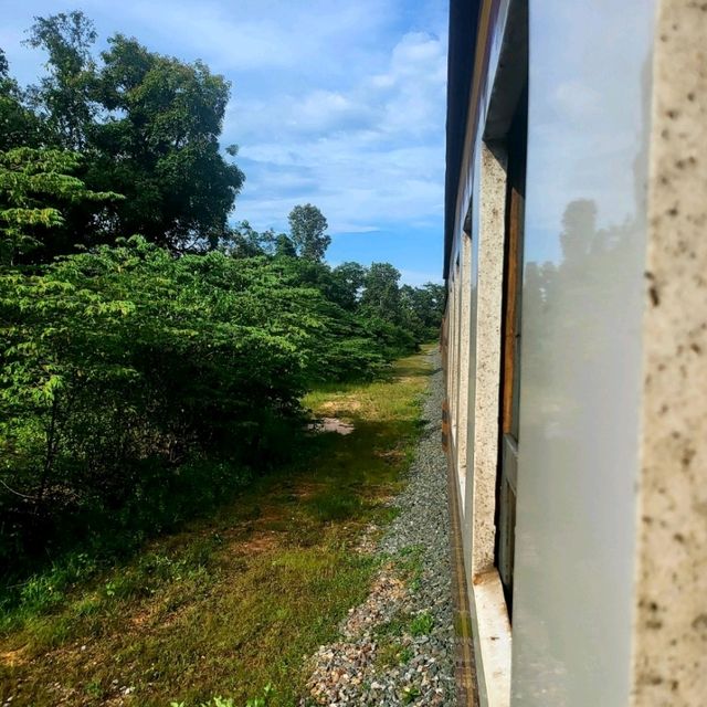 นั่งรถไฟเที่ยวจากสถานีเชียงใหม่ สู่ดอยขุนตาล