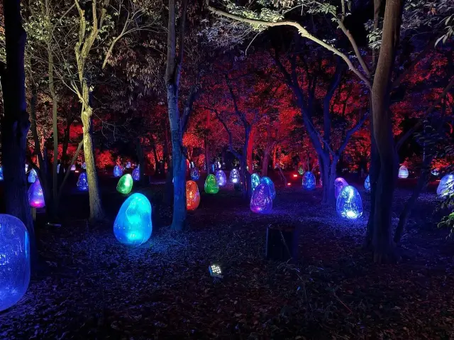 Time Lab at Nagaipark