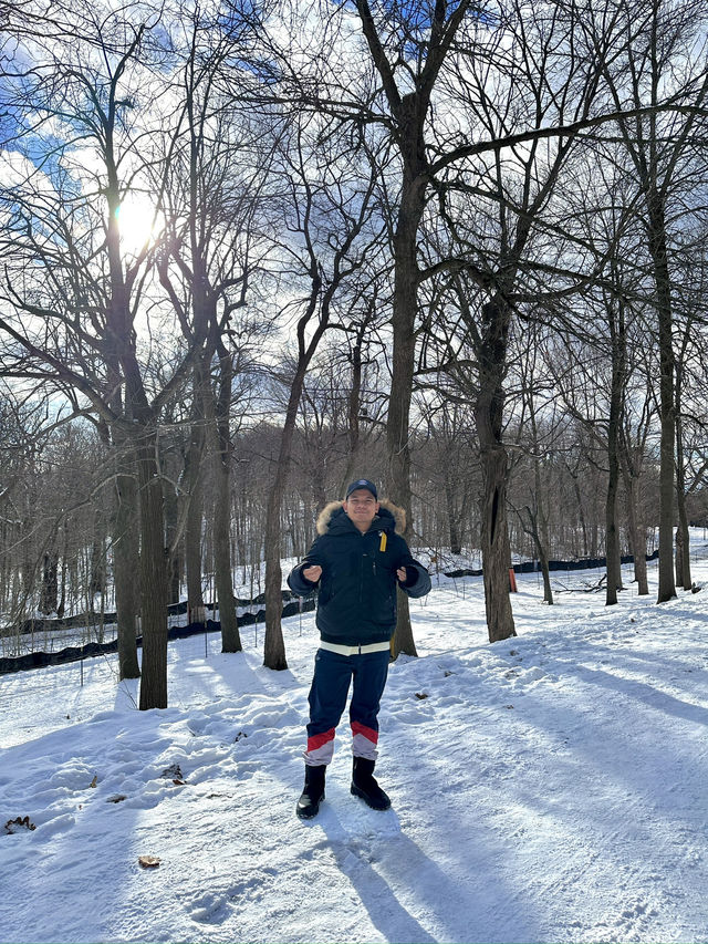 Canada Trip in Montreal - 1st Week 🤩