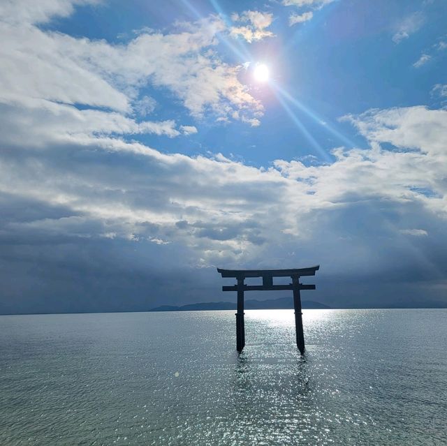 白鬚神社 水上鳥居