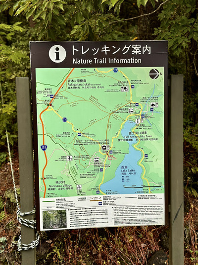 The most mystic hiking trail in Japan 👹 | Trip.com