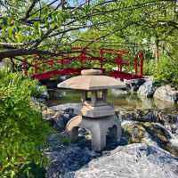 小金井公園：和風與西式的完美交融 🌿🏰