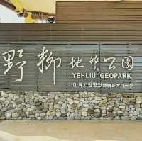 探索台北的自然奇觀 — 野柳地質公園
