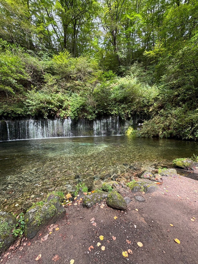 【軽井沢町】自然を楽しむ無料スポット白糸の滝🌿‬