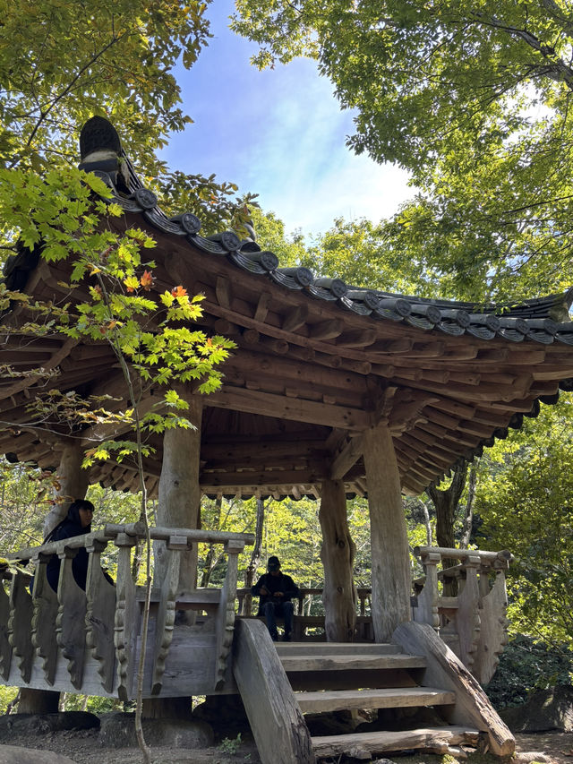 지리산 하동에 위치한 지역 명소 삼성궁 돌탑성⭐️