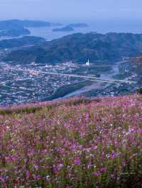 ナビで行くのは困難！投稿文を参考にしてみてくださいね🙌鷲ヶ峰コスモスパーク