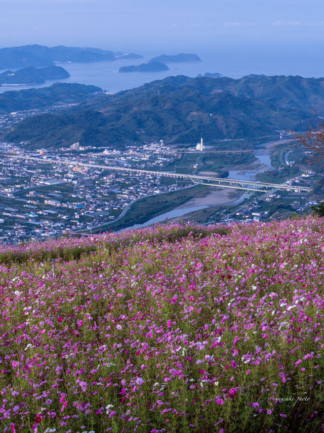 ナビで行くのは困難！投稿文を参考にしてみてくださいね🙌鷲ヶ峰コスモスパーク