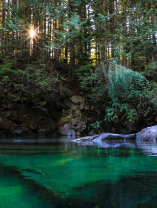 [Maple Ridge🇨🇦] เพลิดเพลินกับธรรมชาติในช่วงสุดสัปดาห์ที่สวนสาธารณะแห่งรัฐที่ซ่อนเร้นแห่งนี้🍃