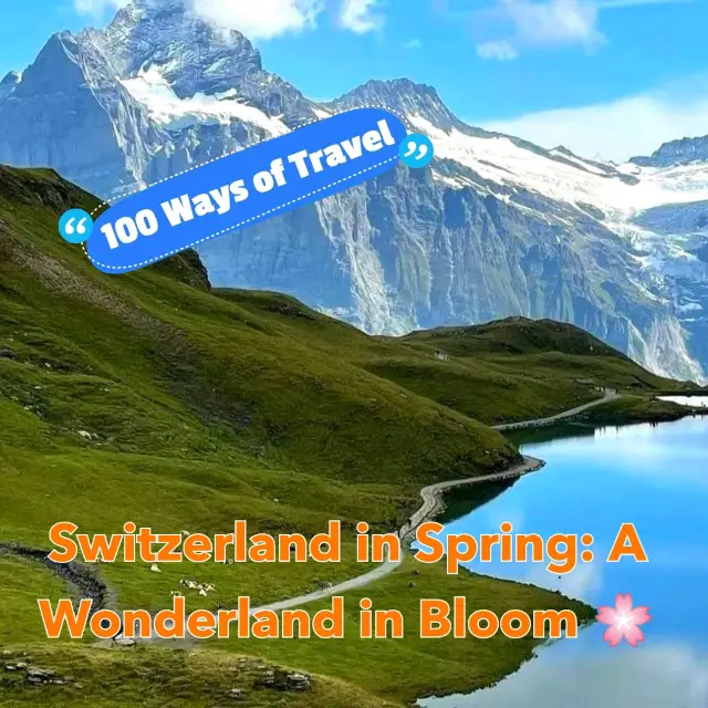 Switzerland in Spring: A Wonderland in Bloom 🌸