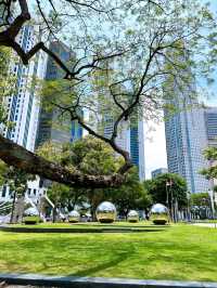 A Journey Along Cavenagh Bridge