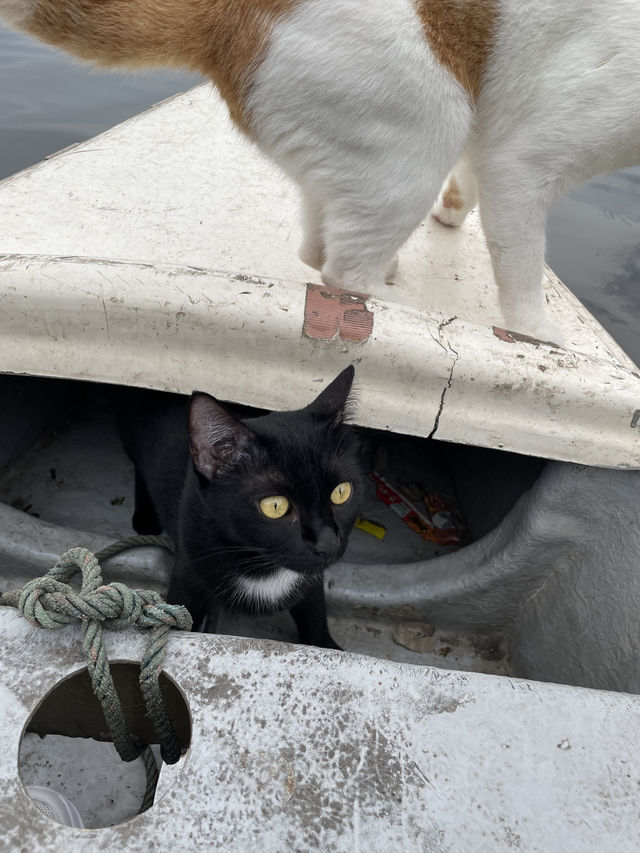 Bangkok's Hidden Gem💎 Sailing with CATS at Hua Takhe Old Market