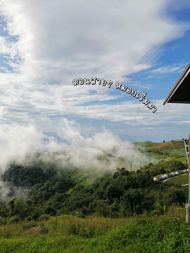 ⛺️จุดกางเต็นท์ไร่กมลเทพ พิชิตหมอก😶‍🌫️
