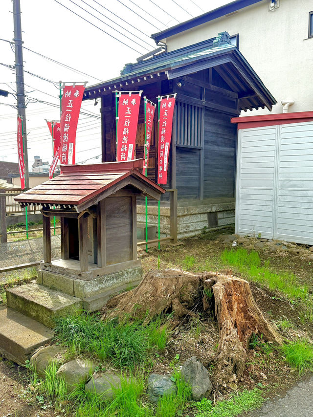 【埼玉県】地域に愛され続けてきた神社