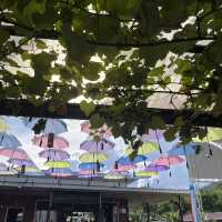A Coffee Lover's Paradise in Tenom