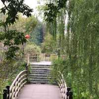 流花湖公園：自然與靜謐的完美結合 🌼