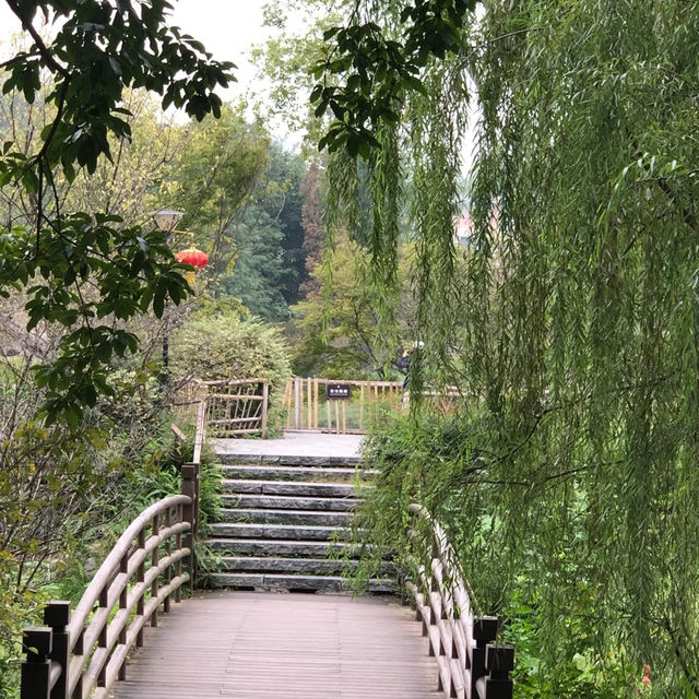 流花湖公園：自然與靜謐的完美結合 🌼