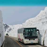 室堂雪之大谷，壯麗雪牆奇景。