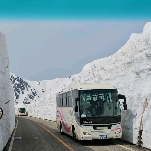 室堂雪之大谷，壯麗雪牆奇景。