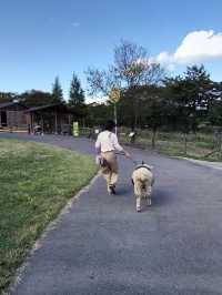 【群馬おすすめ観光スポット】