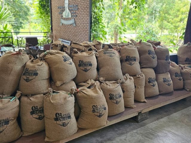 คาเฟ่ สวย จ.สุราษ
