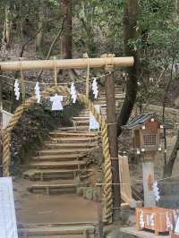 【奈良観光】神の山を祀る「大神神社」⛩️