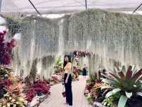 สำรวจความงามธรรมชาติที่สวนพฤกษศาสตร์แม่ริม 