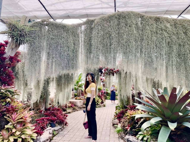 สำรวจความงามธรรมชาติที่สวนพฤกษศาสตร์แม่ริม 
