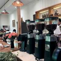 ไปคาเฟ่ยังไงให้ความรู้สึกเหมือนอยู่ในป่า
