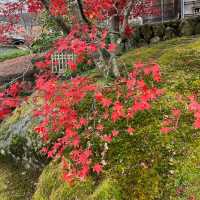 【神奈川】紅葉の時期にオススメスポット！