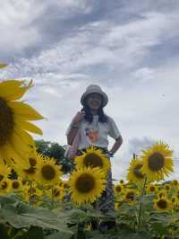 🌻 ไร่เชษฐ์เจริญชัย 