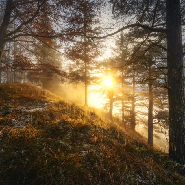 Bavarian Alps