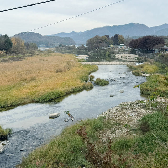 Exploring History at 38th Parallel in Pocheon 🇰🇷