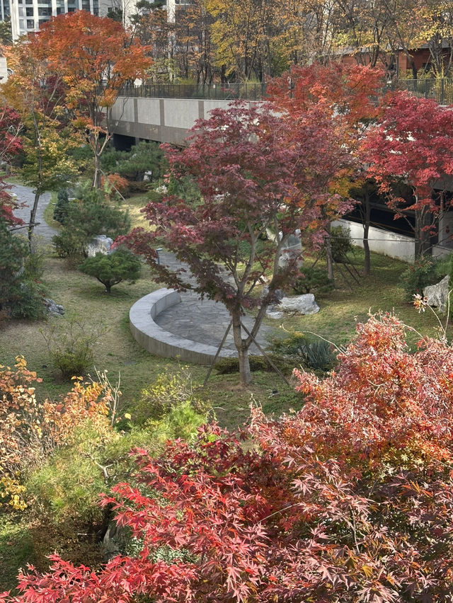 단지 중앙에 예쁜 단풍과 🌳 소담한 산책길을 경험할 수 있는 송파 공원 여행지 추천🍁