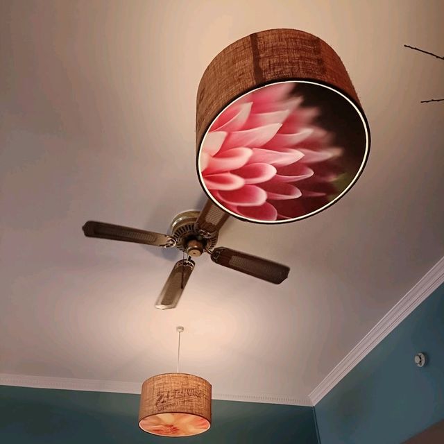 Nice food