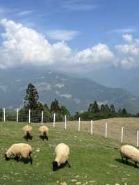 Adventure of 1748 metres above - Serenity at Qing Jing Farm 