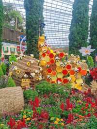 An awesome visit to garden by the bay 💐