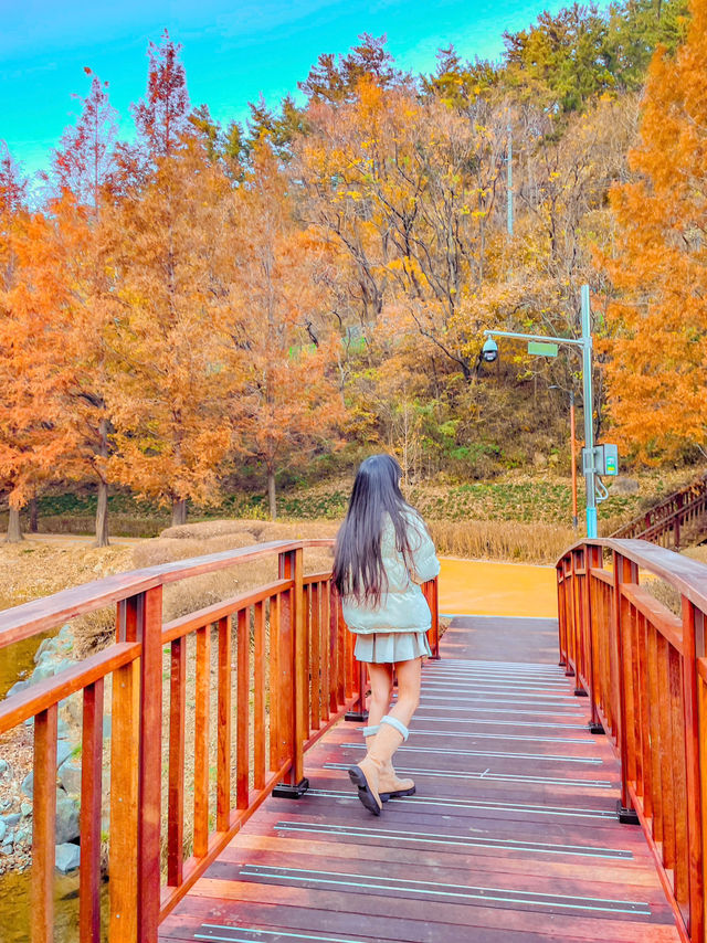 부산의 가을 명소, 단풍구경하기 좋은 기장 용소웰빙공원