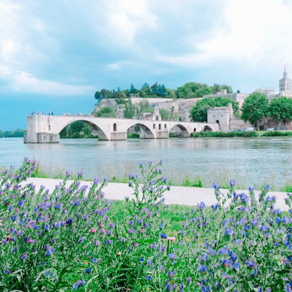 【フランス南部🇫🇷】アヴィニョンで時代を肌で感じよう✨