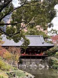【北九州旅行】 小倉城庭園アフタヌーンティー