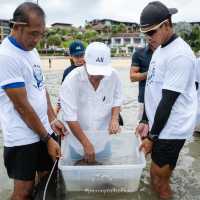 ปล่อยฉลามจิ๋วสู่ทะเล