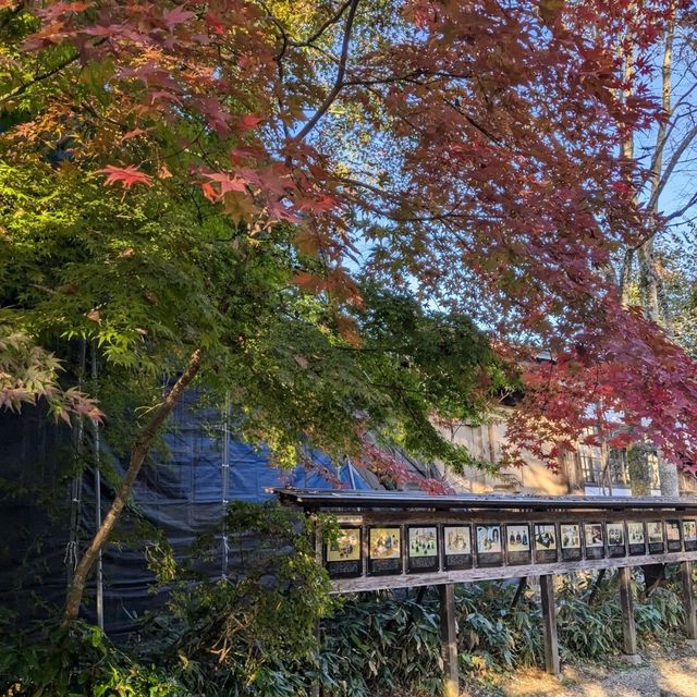 走訪武士的家，角館武家屋敷通：青柳家