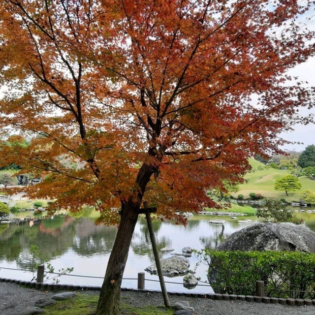 สวมกิโมโนเดินชมสวน Suizenji Jojuen