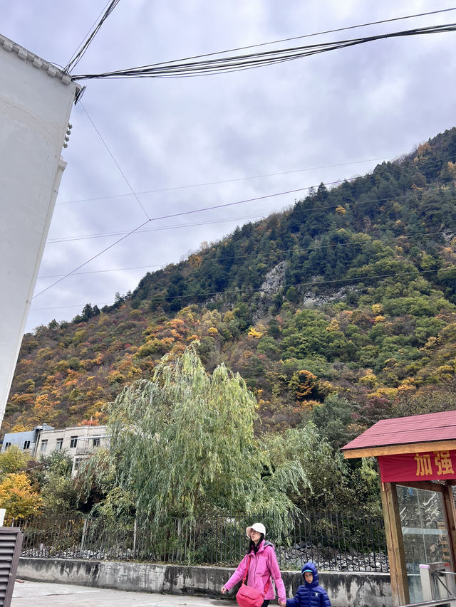 ธรรมชาติจีนสวยทะลุตาเนื้อ ‼️⛰️✨