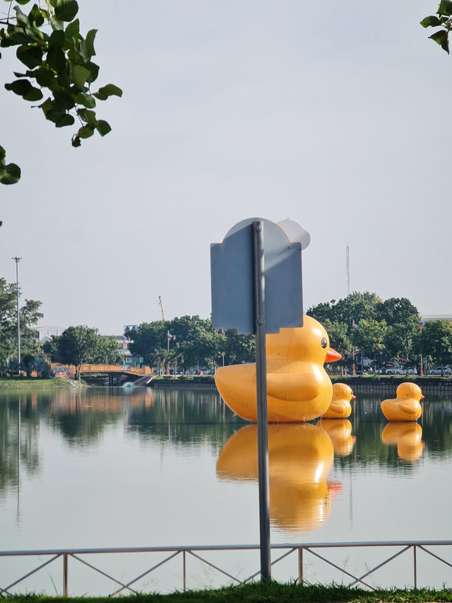เช้า ๆ ที่สวนสาธารณะหนองประจักษ์ อุดรธานี 🐥