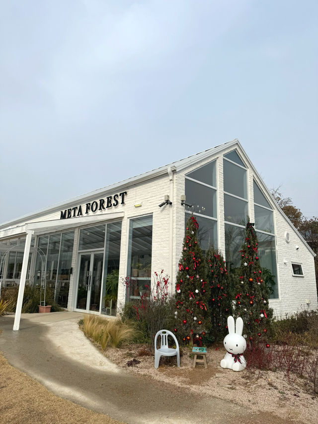 인스타 핫플 숲 속 카페 ‘메타포레스트’ 
