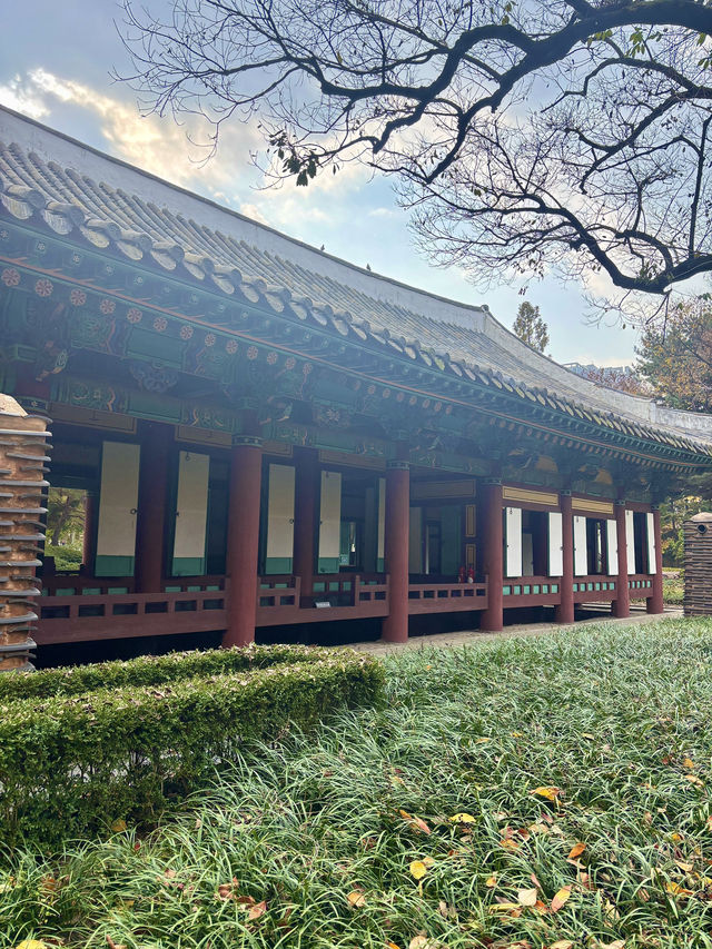 은행잎 가득 가을을 느낄 수 있는 대구 경상감영공원💛
