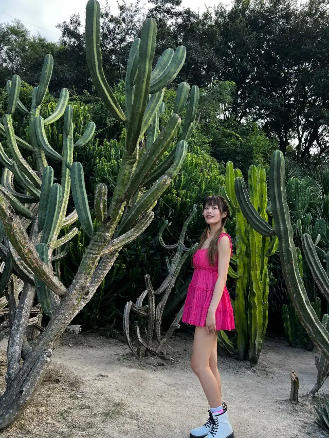 Xiamen Travel - Must-Visit 5A Level Tourist Attractions!