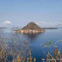 hopping & hopping & hopping 