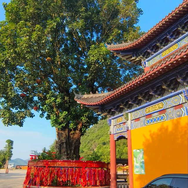 🚗 韶關. 觀音禪院+觀音洞