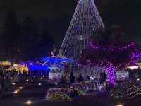งานประดับไฟ Christmas 🎄 